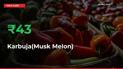 This Mandi Records 42.77% Jump in Karbuja(Musk Melon) Prices