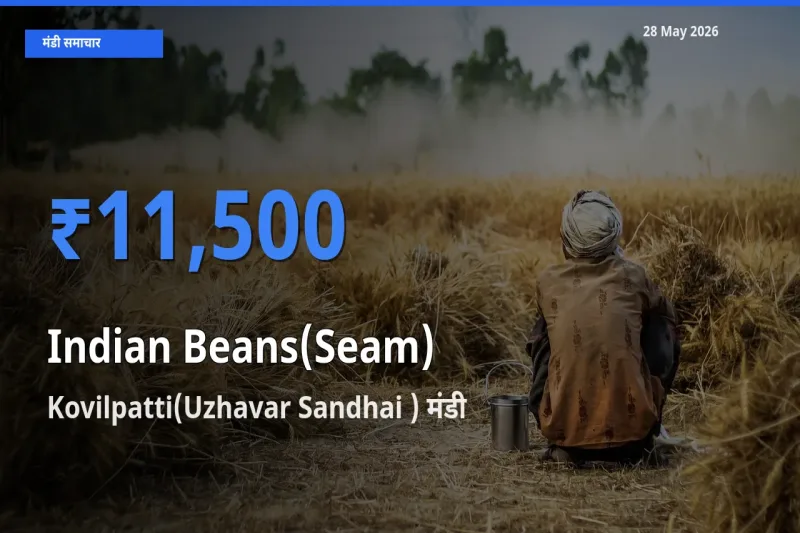 आज सेम (देशी) के सबसे ज़्यादा दाम Kovilpatti(Uzhavar Sandhai ) मंडी में दर्ज