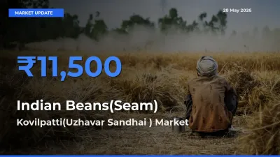 Indian Beans(Seam) Mandi Rate Today: Kovilpatti(Uzhavar Sandhai ) Tops the List