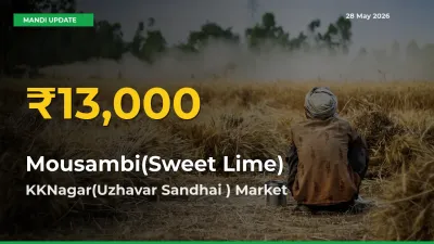 Mousambi(Sweet Lime) Price Rally Continues – KKNagar(Uzhavar Sandhai ) Hits Fresh High Today