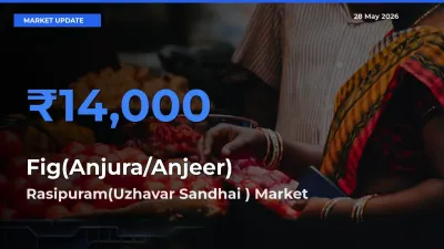 Rasipuram(Uzhavar Sandhai ) Emerges as Top Mandi for Fig(Anjura/Anjeer) Prices Today