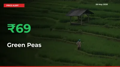 Sudden 69.27% Rally in Green Peas Prices Across Mandis