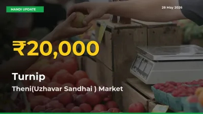Big Jump in Turnip Prices! Theni(Uzhavar Sandhai ) Records New Peak Today