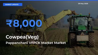 Farmers Prefer Pappanchani VFPCK Market as Cowpea(Veg) Hits Highest Rate