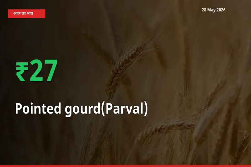 स्थानीय मंडी में परवल के दाम अचानक 27% उछले, किसान सतर्क