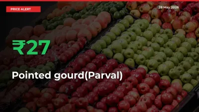 Pointed gourd(Parval) Rises 27% at Mandis