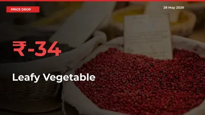 Sudden Shock! Leafy Vegetable Drops 33.64% in 24 Hours at Top Mandis
