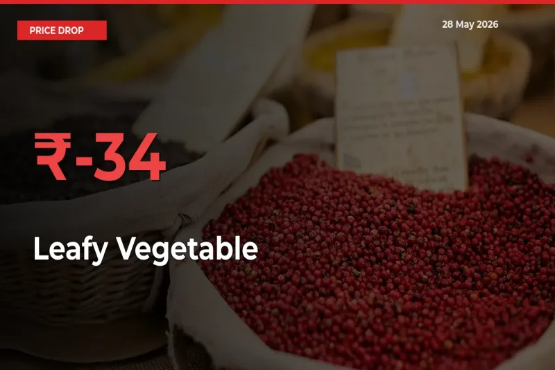 Sudden Shock! Leafy Vegetable Drops 33.64% in 24 Hours at Top Mandis
