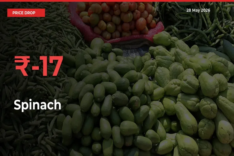 16.89% Drop in Spinach Prices – Mandi Sees Sudden Fall