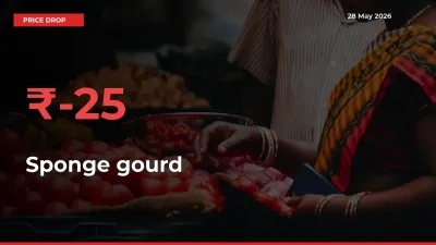 Sudden Shock! Sponge gourd Drops 25.3% in 24 Hours at Top Mandis
