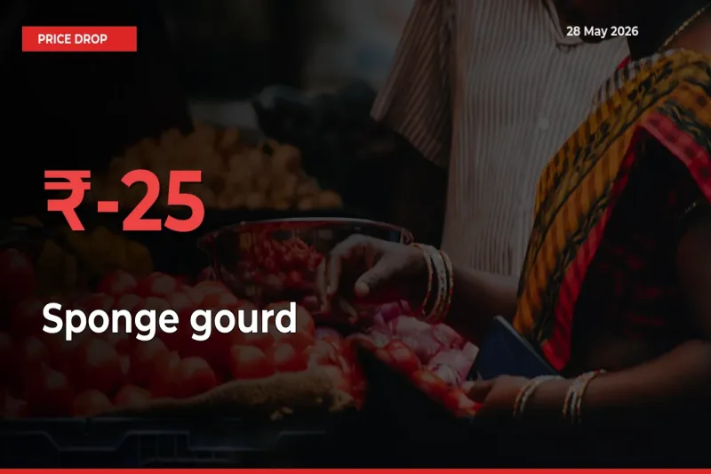 Sudden Shock! Sponge gourd Drops 25.3% in 24 Hours at Top Mandis
