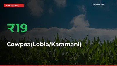 Cowpea(Lobia/Karamani) Mandi Rate Today: Prices Jump 18.66% at Market