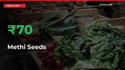 Sharp Jump! Methi Seeds Prices Climb 69.51% in 24 Hours at Key Mandis