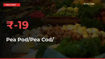 18.77% Drop in Pea Pod/Pea Cod/हरी मटर Prices – Mandi Sees Sudden Fall