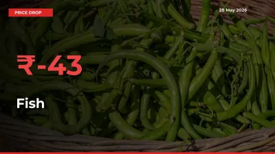 Fish Falls 43.14% at Mandis