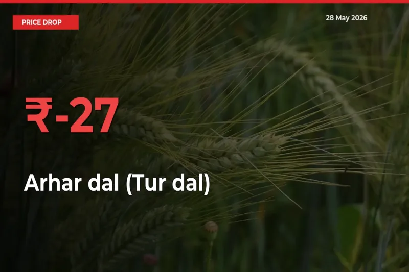 26.98% Drop in Arhar dal (Tur dal) Prices – Mandi Sees Sudden Fall