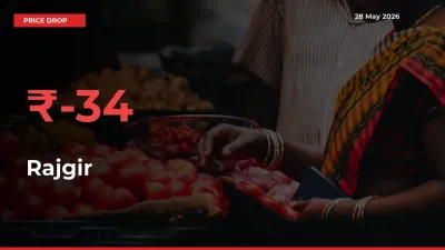 Why Rajgir Prices Fell 34.35% in a Day at Mandis