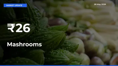 Mashrooms Prices Gain Momentum Across 26+ Mandis – Market Trend Strengthens