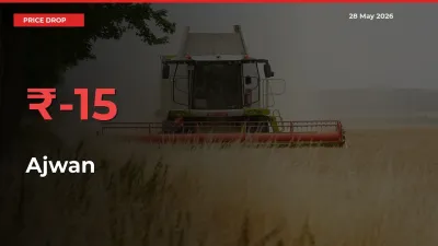 This Mandi Records 15.1% Fall in Ajwan Prices