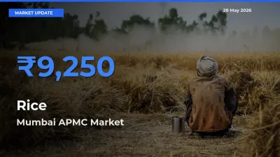 Farmers Prefer Mumbai APMC as Rice Hits Highest Rate