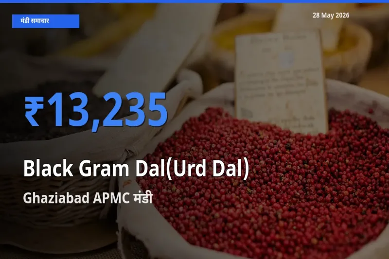 टॉप मंडी बना Ghaziabad APMC! उड़द दाल के सबसे ऊँचे दाम यहीं दर्ज