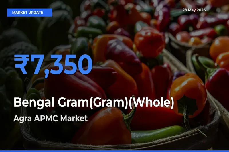 Market Watch: Agra APMC Becomes Top Mandi for Bengal Gram(Gram)(Whole)