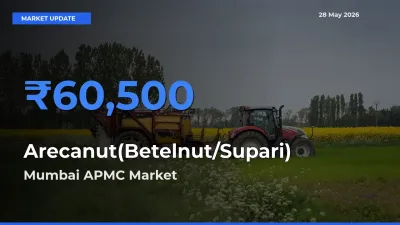 Mumbai APMC Emerges as Top Mandi for Arecanut(Betelnut/Supari) Prices Today
