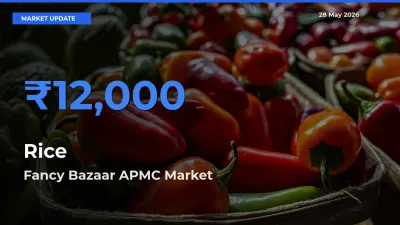 Fancy Bazaar APMC Leads as Top Mandi for Rice Prices
