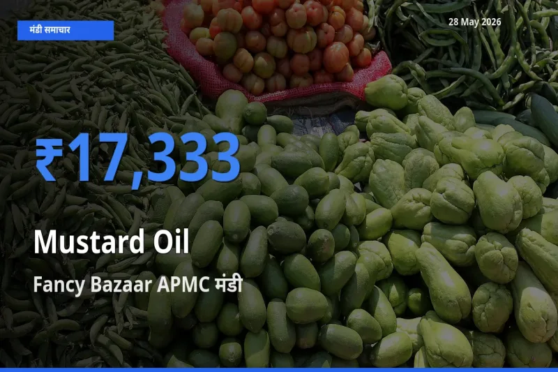 किसानों की पसंद बना Fancy Bazaar APMC, सरसों का तेल के सबसे अच्छे दाम