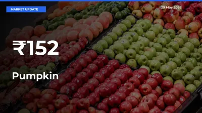 Strong Trend in Pumpkin Rates Across Multiple Mandis – What It Means for Traders