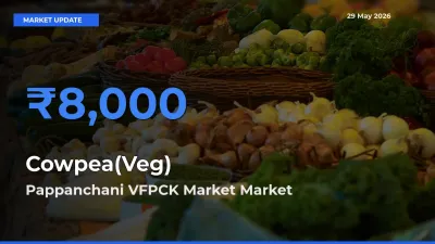 Pappanchani VFPCK Market Records Highest ₹8,000 Rate for Cowpea(Veg)
