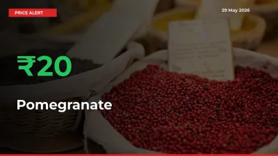 Pomegranate Prices Rise 20.41% in a Day at Major Mandis