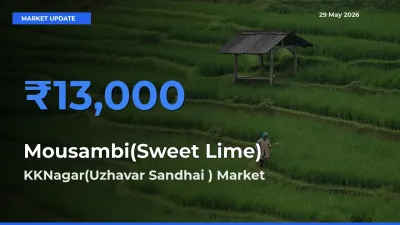 KKNagar(Uzhavar Sandhai ) Tops Mousambi(Sweet Lime) Rates – May 29 Market Update