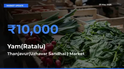 Yam(Ratalu) Mandi Rate Today: Thanjavur(Uzhavar Sandhai ) Tops the List