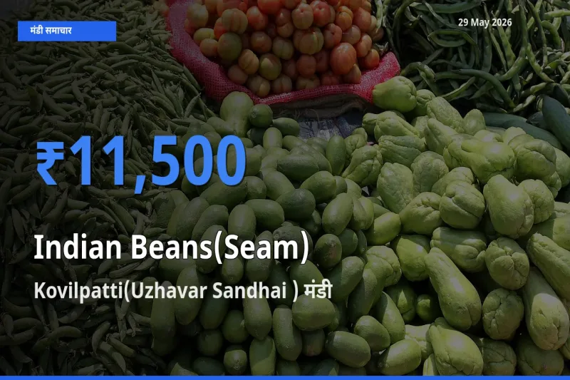 आज का मंडी भाव: सेम (देशी) के सबसे ज़्यादा दाम Kovilpatti(Uzhavar Sandhai ) में