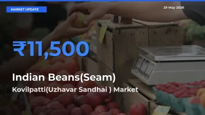 Kovilpatti(Uzhavar Sandhai ) Tops Indian Beans(Seam) Mandi Rates Today
