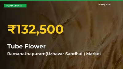 Tube Flower Prices Soar to Record High in Ramanathapuram(Uzhavar Sandhai ) – Farmers Alert Today