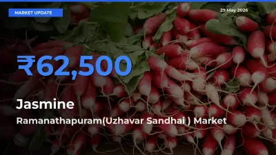 Ramanathapuram(Uzhavar Sandhai ) Records Highest ₹62,500 Rate for Jasmine