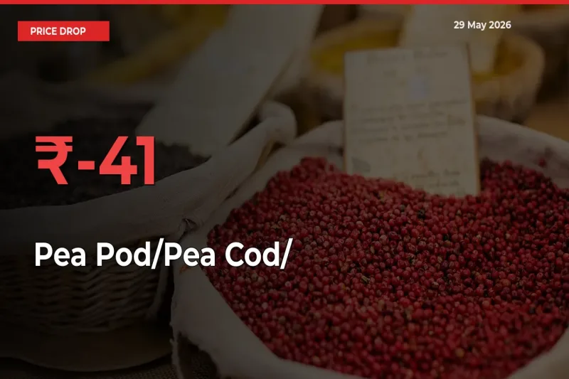 Farmers Alert as Pea Pod/Pea Cod/हरी मटर Prices Slide 40.8% in Local Mandis