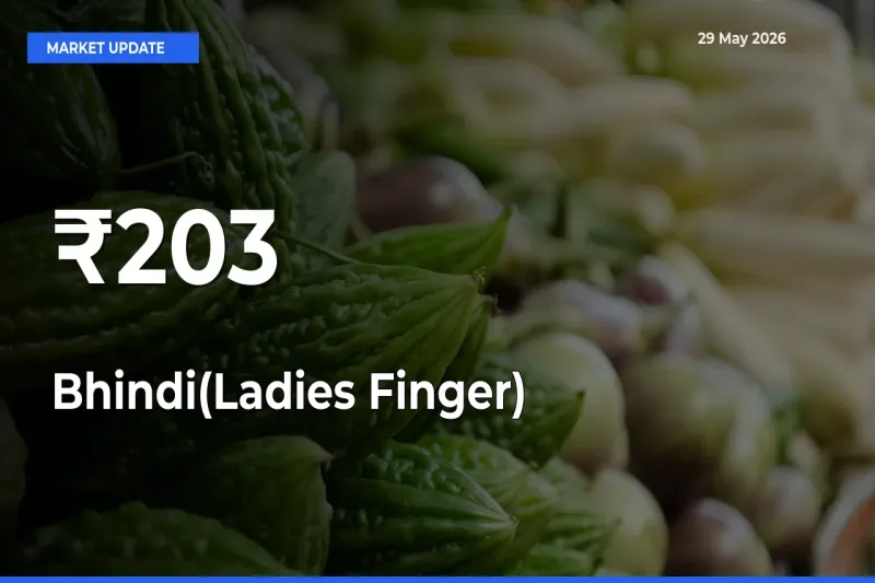 Bhindi(Ladies Finger) Prices Gain Momentum Across 203+ Mandis – Market Trend Strengthens