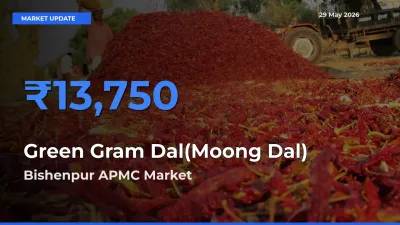 Bishenpur APMC Leads as Top Mandi for Green Gram Dal(Moong Dal) Prices