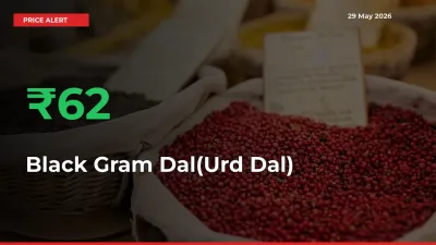 Sharp Jump! Black Gram Dal(Urd Dal) Prices Climb 61.61% in 24 Hours at Key Mandis
