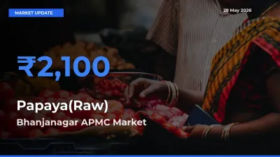 Bhanjanagar APMC Offers ₹2,100 – Highest Papaya(Raw) Rate Today