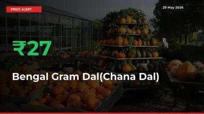 Farmers Cheer as Bengal Gram Dal(Chana Dal) Prices Surge 26.83% in Local Mandis