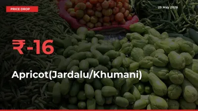 Apricot(Jardalu/Khumani) Prices Drop 15.98% – May 29 Market Update from Mandis