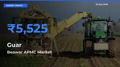 Beawar APMC Offers ₹5,525 – Highest Guar Rate Today