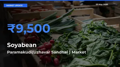 Paramakudi(Uzhavar Sandhai ) Emerges as Top Mandi for Soyabean Prices Today