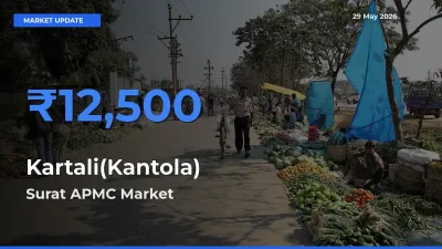 Farmers Prefer Surat APMC as Kartali(Kantola) Hits Highest Rate