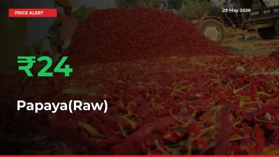 Papaya(Raw) Rises 23.96% at Mandis