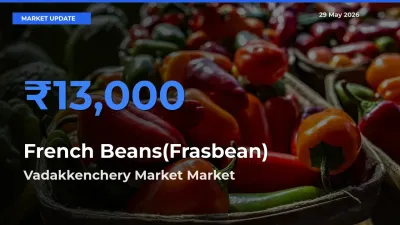 Vadakkenchery Market Leads as Top Mandi for French Beans(Frasbean) Prices